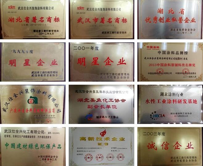 武漢仕全興榮獲行業(yè)多項(xiàng)資質(zhì)證書(shū)