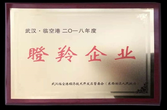 仕全興榮獲2018臨空港經(jīng)開(kāi)區(qū)瞪羚企業(yè)
