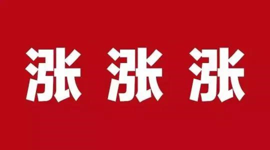 2021年涂料原材料漲價潮